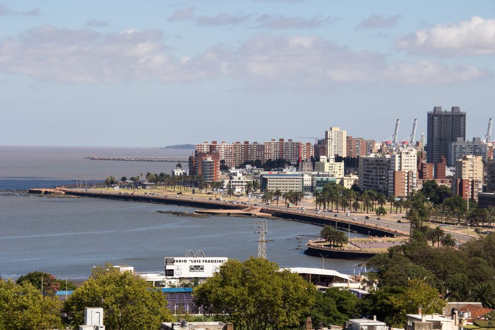 La rambla de Montevideo vista desde arriba: la curva de la costanera, las palmeras y los edificios del barrio detrás