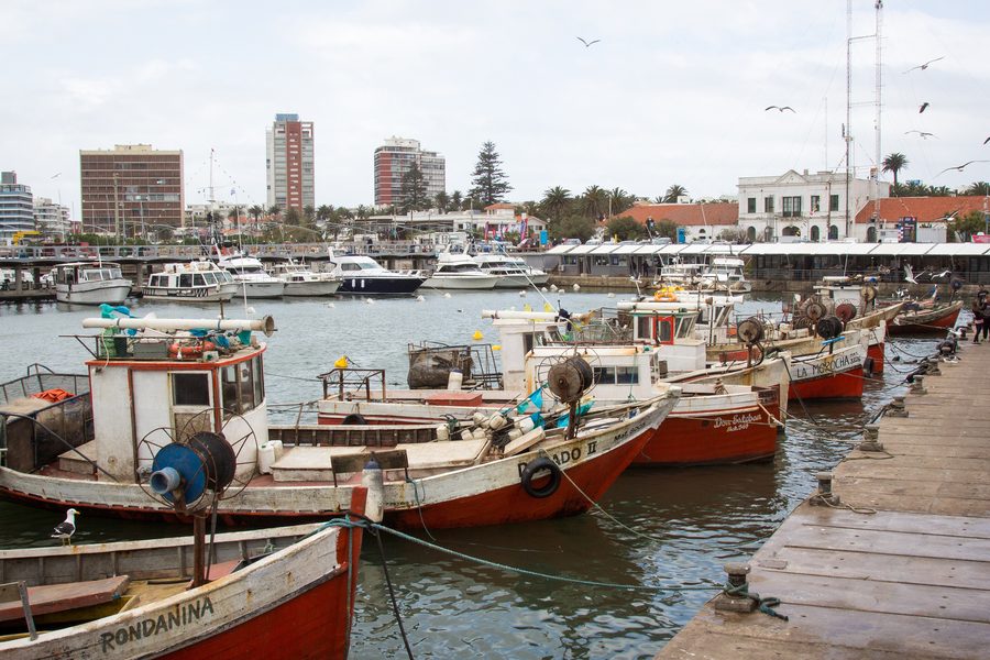 Lanchas de pesca artesanal amarradas en el puerto de Punta del Este