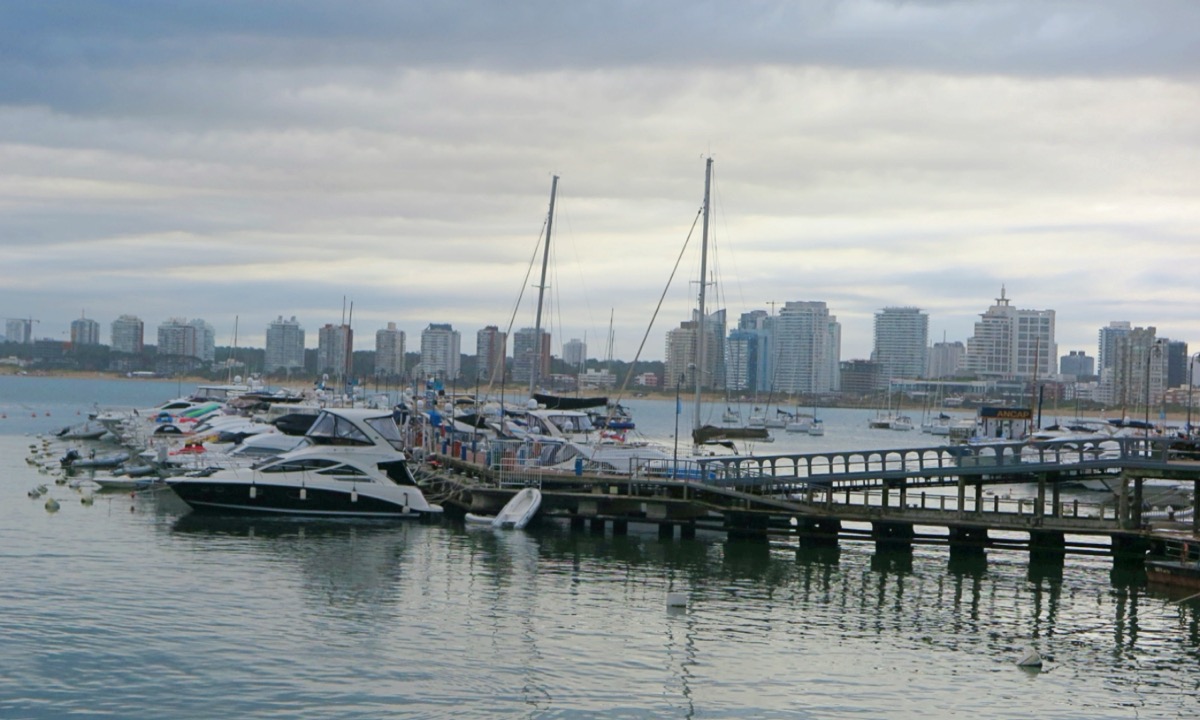 El puerto deportivo de Punta del Este con sus pasarelas y yates amarrados, y las torres del balneario al fondo
