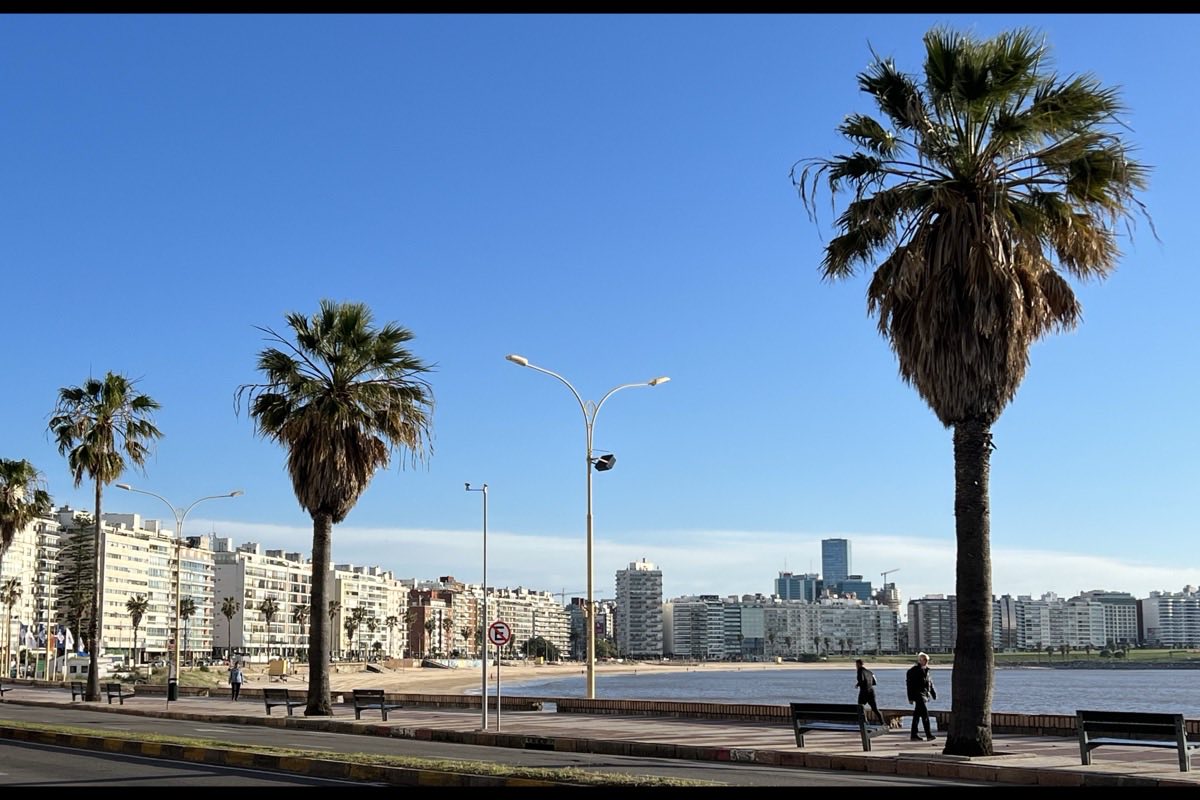 La rambla de Montevideo con sus palmeras, el río de la Plata a la derecha y los edificios de Pocitos al fondo